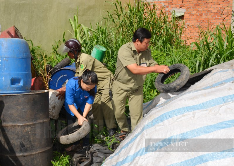 Tín hiệu khiến Quảng Trị lo lắng nguy cơ bùng dịch sốt xuất huyết - Ảnh 1.