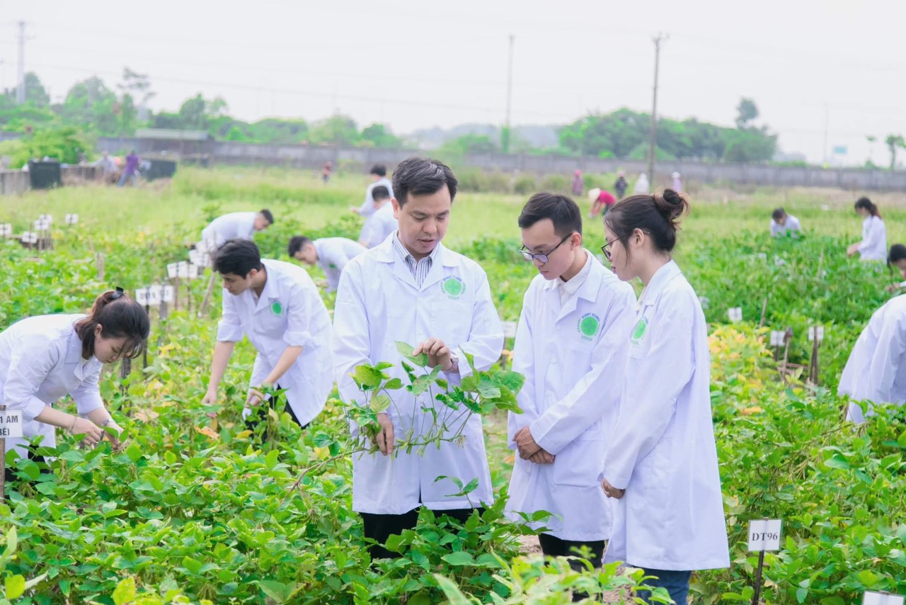 Có một nhóm ngành thí sinh ít biết đến: Được săn đón khi chưa ra trường, đi làm với lương cao  - Ảnh 11.