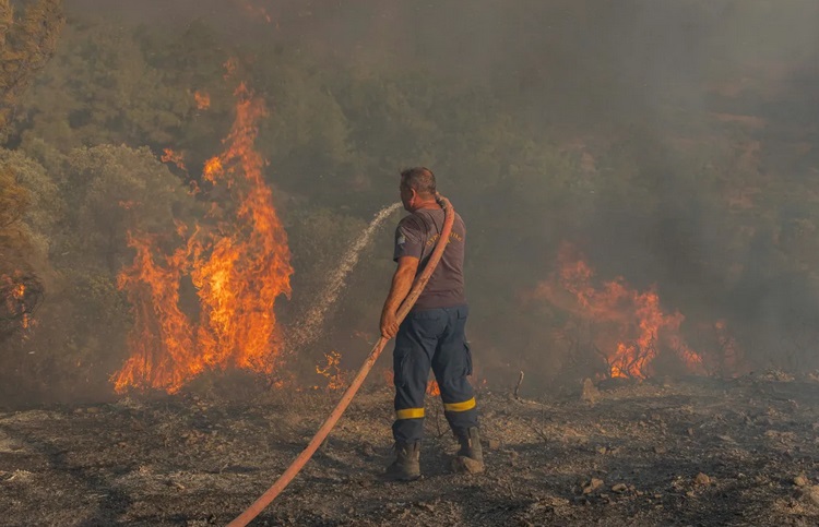 Ôtô cháy chơ khung tại nhiều nước Địa Trung Hải do cháy rừng - Ảnh 1.