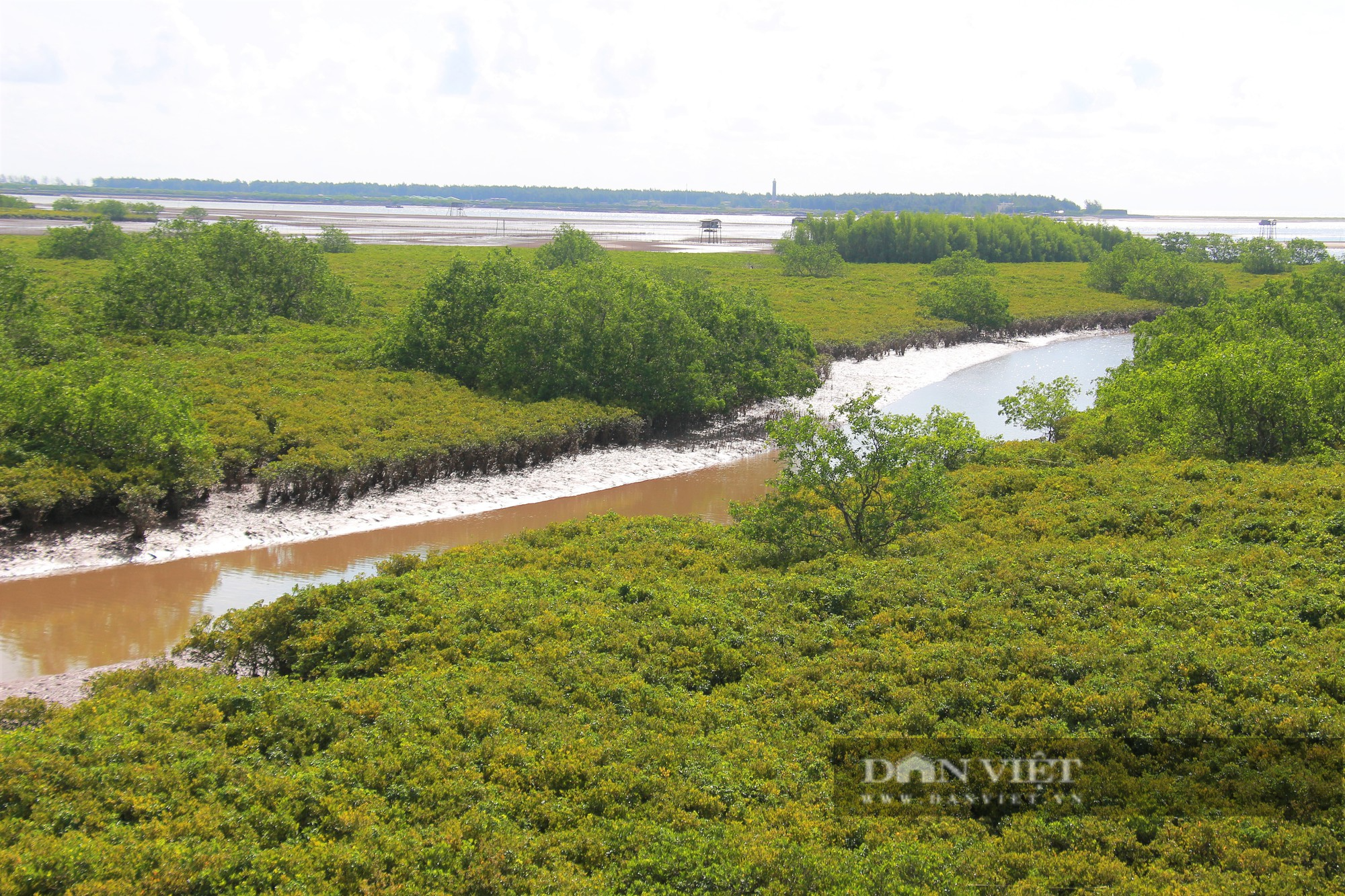 Thiên nhiên yên bình trong Vườn quốc gia Xuân Thủy - khu Ramsar đầu tiên của Đông Nam Á - Ảnh 3.
