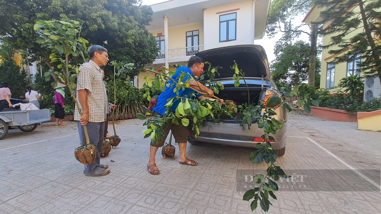 Hội Nông dân tỉnh Thái Nguyên tập huấn, hỗ trợ cây giống cho hội viên, nông dân phát triển kinh tế - Ảnh 4.