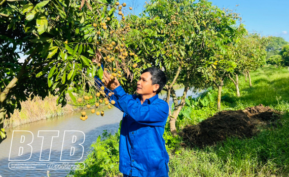 Một huyện của tỉnh Thái Bình có 150.000 nông dân sản xuất giỏi, trong đó có nhiều tỷ phú - Ảnh 1.