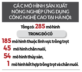 Nông nghiệp Thủ đô chú trọng các mô hình ứng dụng công nghệ cao - Ảnh 2.