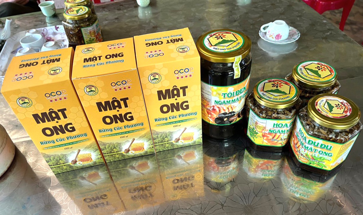 Ninh Bình: Hỗ trợ thiết bị cho hội viên nông dân nuôi ong ở Cúc Phương - Ảnh 2.