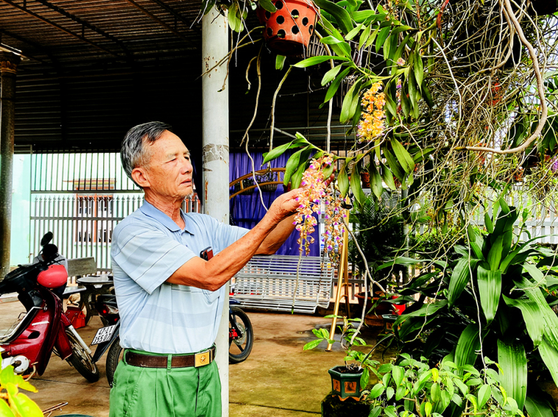 Người Thái Bình &quot;gánh&quot; theo tên làng, tên xã khi di dân vào Đắk Lắk, nay là một vùng trù phú, đang giàu lên - Ảnh 1.