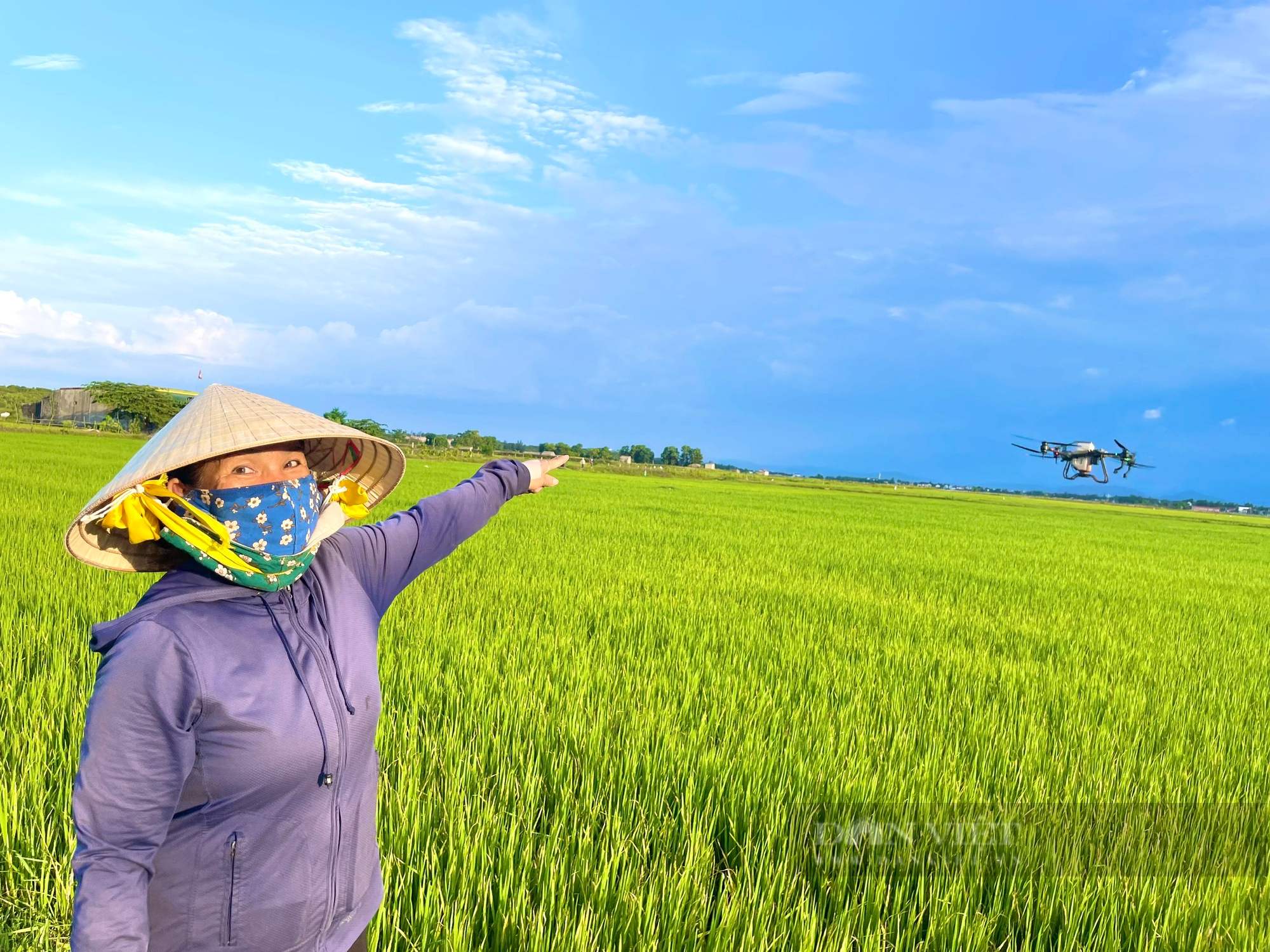 Quảng Bình: Nông dân dùng máy bay không người lái để phun thuốc trừ sâu, rải phân trên ruộng lúa - Ảnh 1.