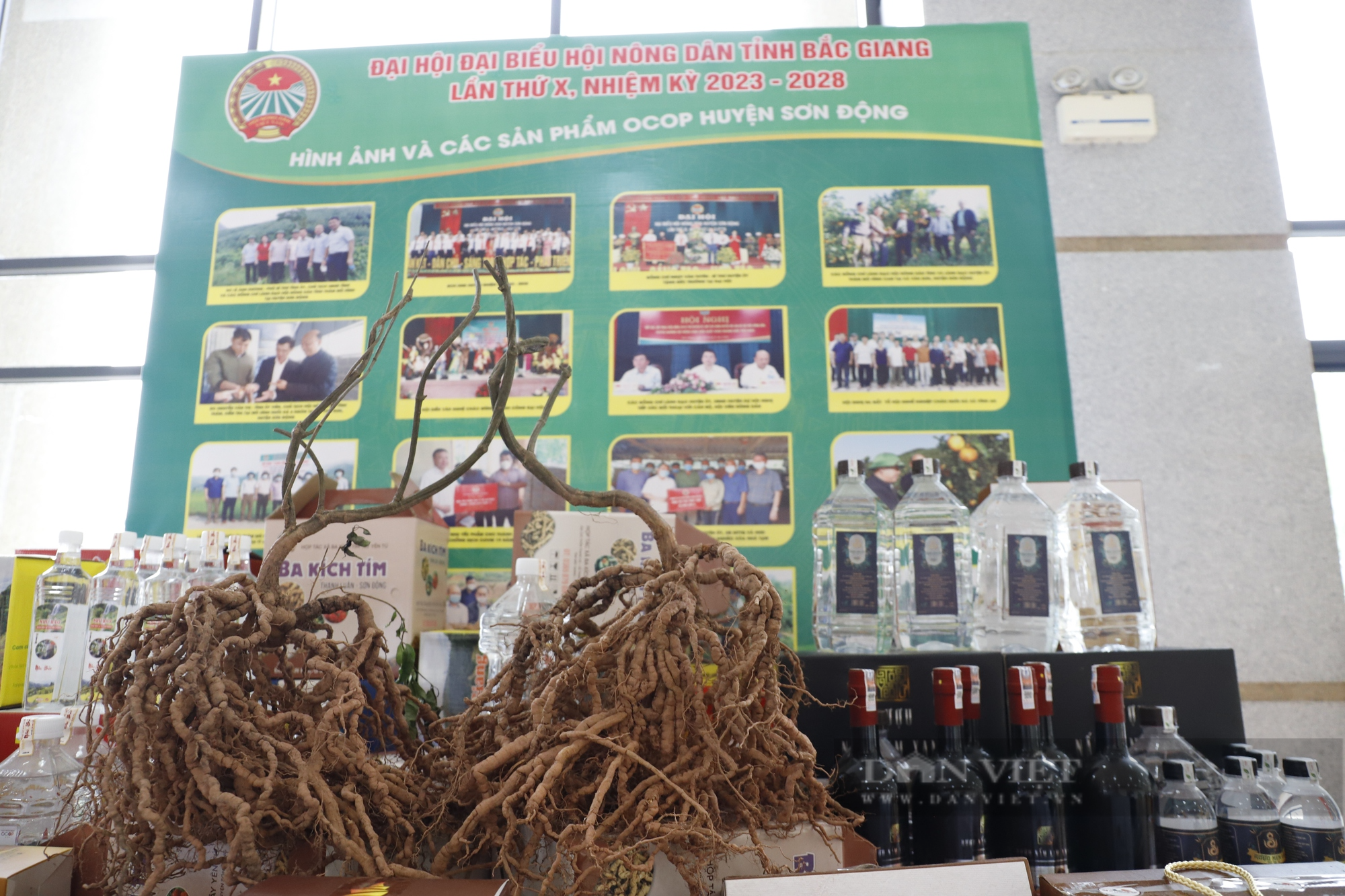 Lãnh đạo TƯ Hội Nông dân Việt Nam tham quan gian hàng trưng bày sản phẩm OCOP đặc trưng của tỉnh Bắc Giang - Ảnh 8.
