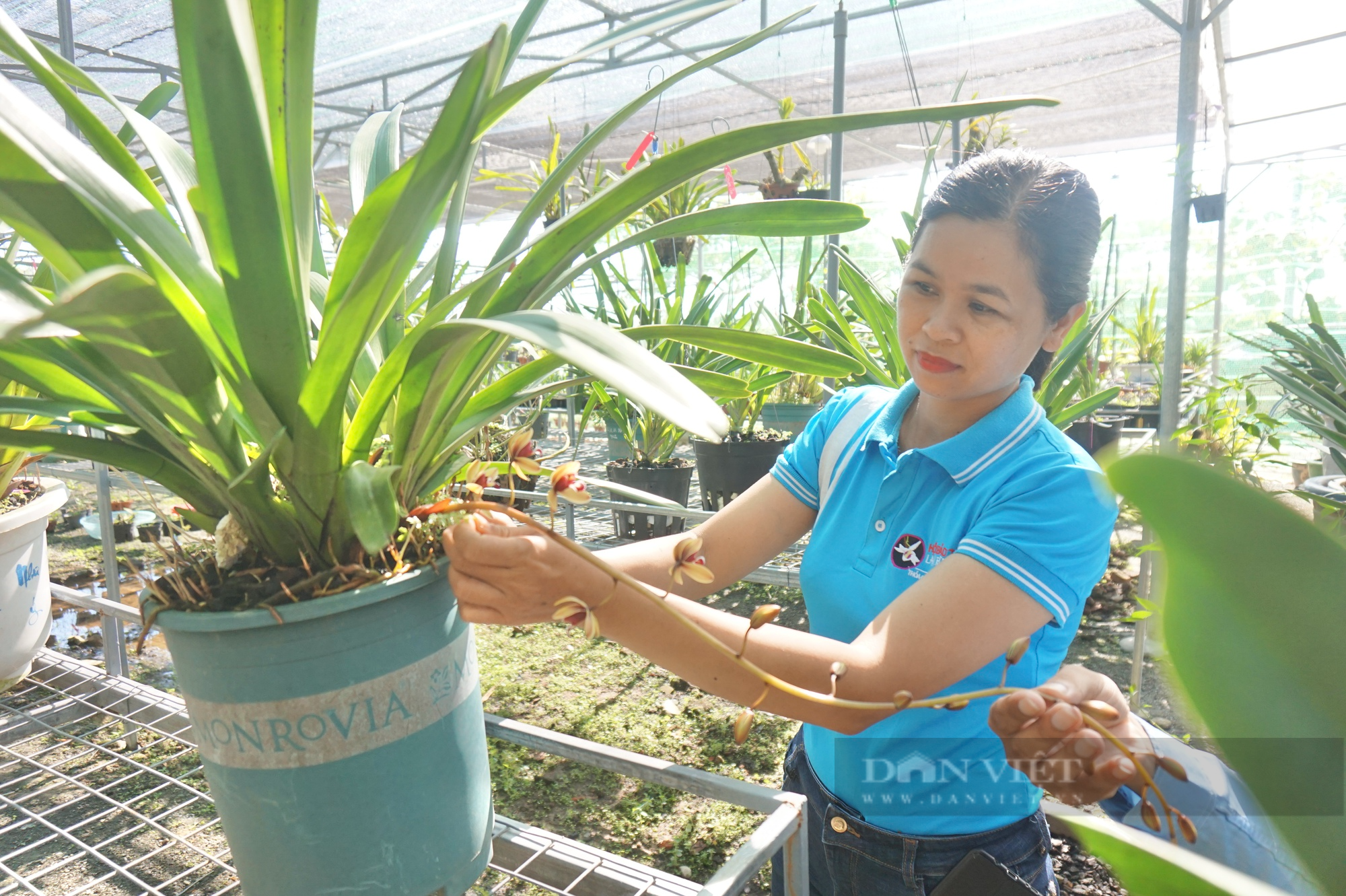 Truyền thông mở đường cho phát triển nông nghiệp đô thị thông minh - Ảnh 3.