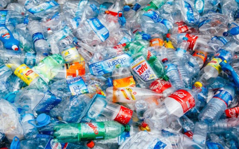 Ngành nhựa Việt Nam lo ngại nguy cơ chưa kịp lớn đã teo tóp vì vì định mức chi phí tái chế cao. Ảnh: T.L