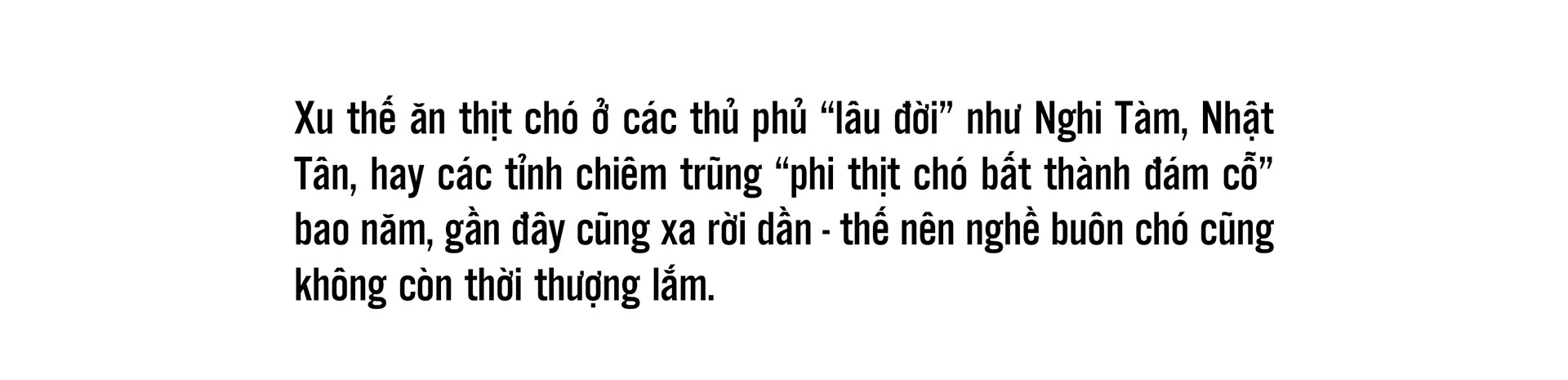 Bài 2: Những “cỗ máy nhồi” làm vỡ tung dạ dày chó  - Ảnh 3.