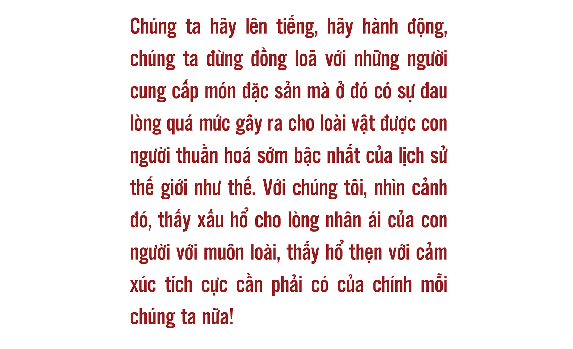 Bài 2: Những “cỗ máy nhồi” làm vỡ tung dạ dày chó  - Ảnh 8.