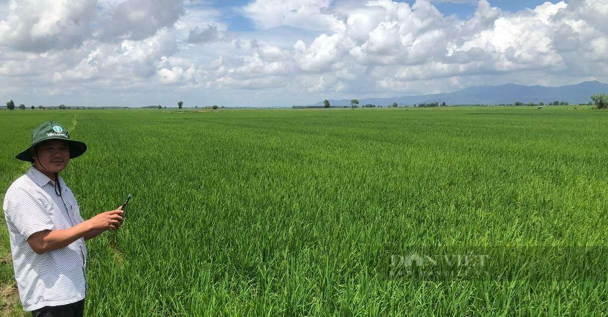 Bình Thuận: Trải &quot;chiếu hoa&quot; mời doanh nghiệp đầu tư vào nông nghiệp và liên kết tiêu thụ sản phẩm của nông dân - Ảnh 1.