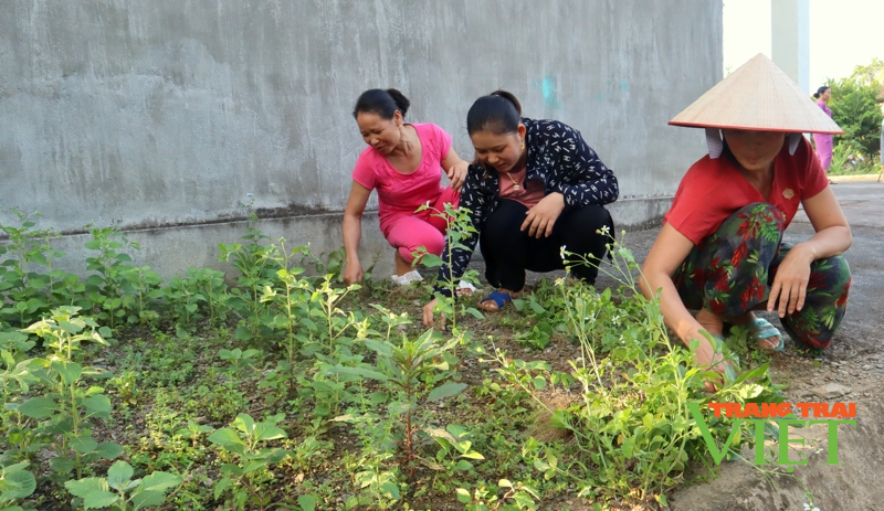 Phụ nữ huyện Nậm Nhùn chung tay bảo vệ môi trường - Ảnh 1.