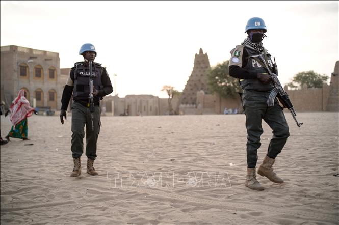 Tấn công khủng bố ở miền Trung Mali, ít nhất 12 dân thường thiệt mạng - Ảnh 1.