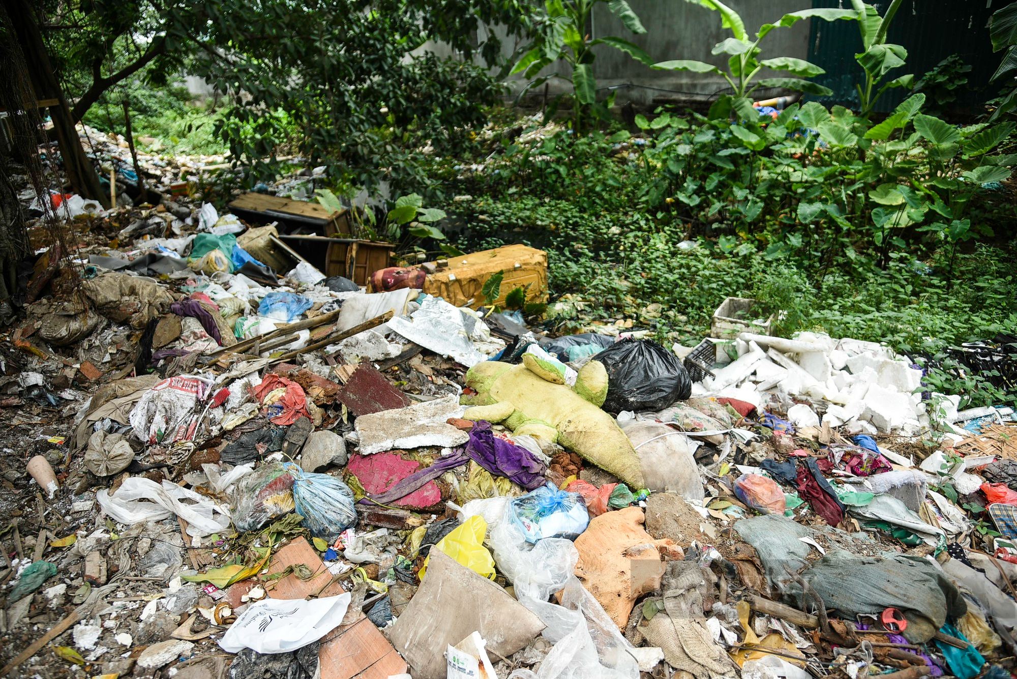 Hình ảnh rác thải đang dần lấn chiếm, &quot;bức tử&quot; một đoạn sông ở trung tâm Hà Nội - Ảnh 3.