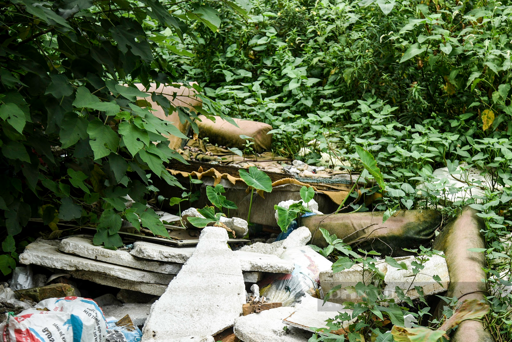 Hình ảnh rác thải đang dần lấn chiếm, &quot;bức tử&quot; một đoạn sông ở trung tâm Hà Nội - Ảnh 8.