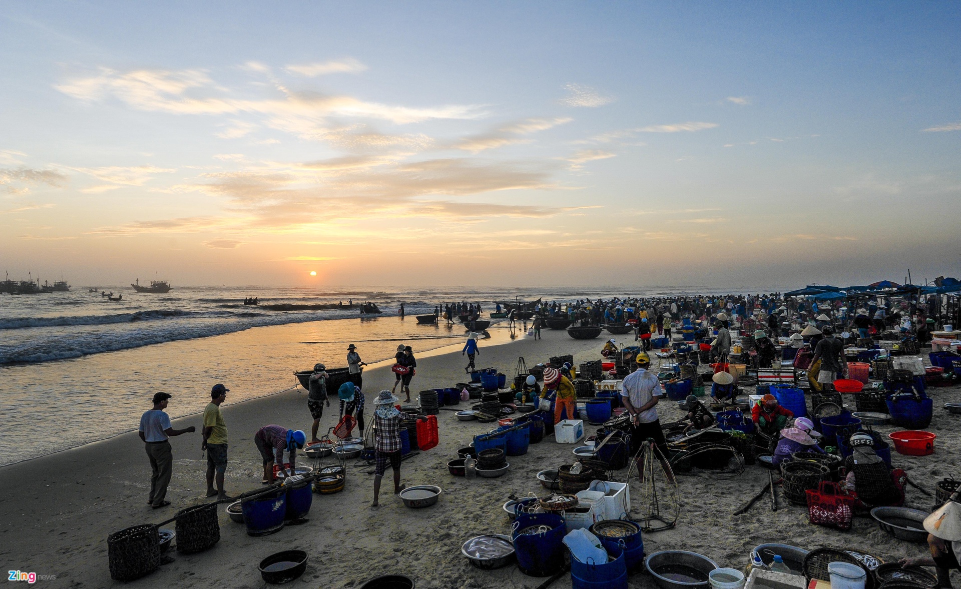 Các loại cá, tôm, cua, mực, ghẹ,...tươi roi rói ở chợ cá lớn nhất Quảng Nam lúc sáng sớm - Ảnh 6.