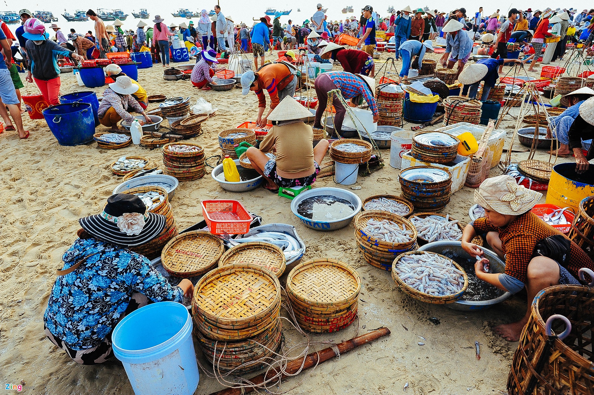 Các loại cá, tôm, cua, mực, ghẹ,...tươi roi rói ở chợ cá lớn nhất Quảng Nam lúc sáng sớm - Ảnh 7.