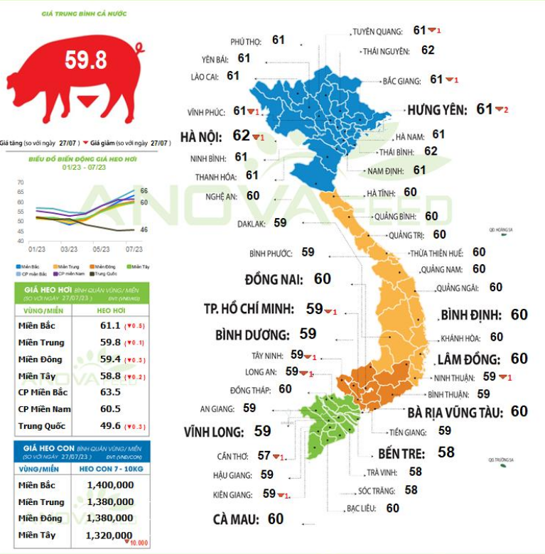 Giá lợn hơi 3 miền tiếp tục giảm, đã thấy &quot;đáy&quot; chưa? - Ảnh 1.