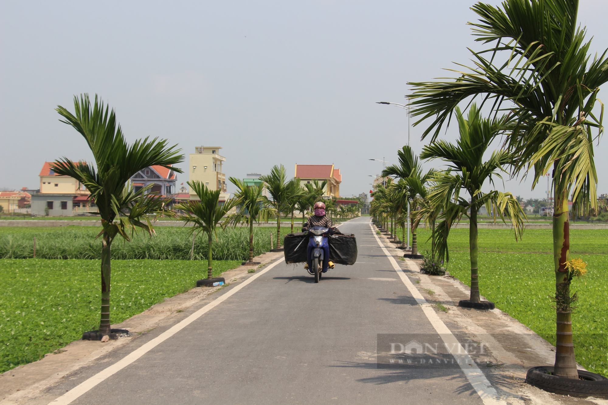 Về xã nông thôn mới kiểu mẫu đầu tiên tỉnh Nam Định, đường làng, ngõ xóm thông suốt, hai bên đường hàng cau xanh mướt - Ảnh 7.