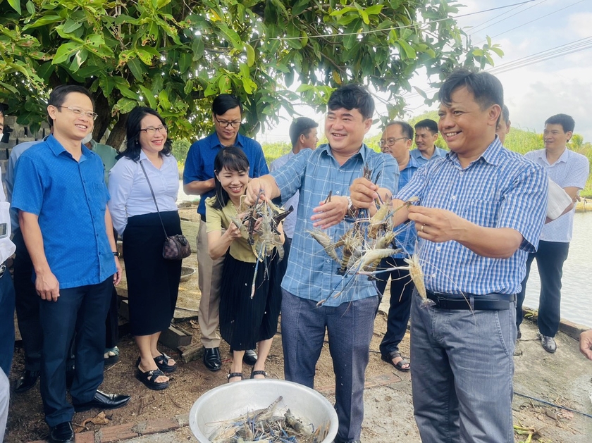 Kỹ thuật nuôi cá trê trong ao đất  Tôm Vàng