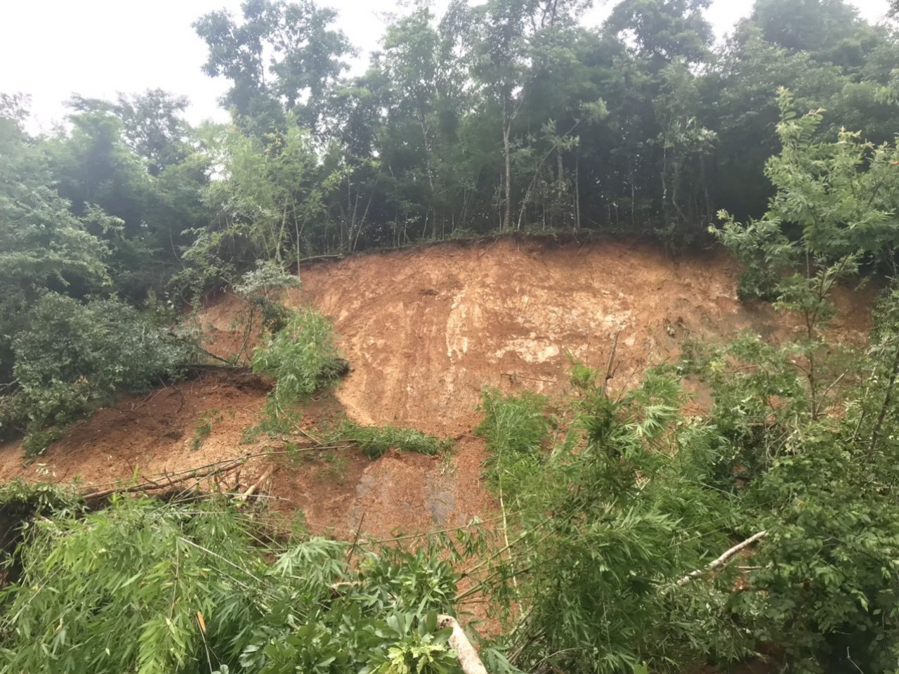 Bình Thuận: Mưa lớn, lũ quét cuốn trôi hàng chục tấn cá, cây nông nghiệp, thiệt hại trên 5 tỷ đồng ở huyện Tánh Linh - Ảnh 2.