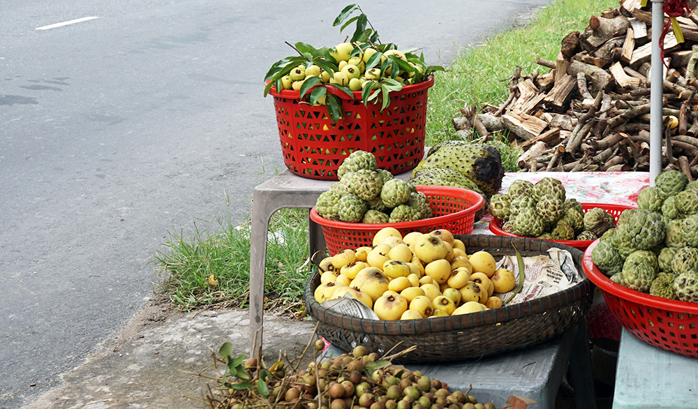 Không phải là loại quả hảo hạng, nhưng loại quả này lại có sức cuốn hút riêng biệt bởi mùi hương - Ảnh 2.