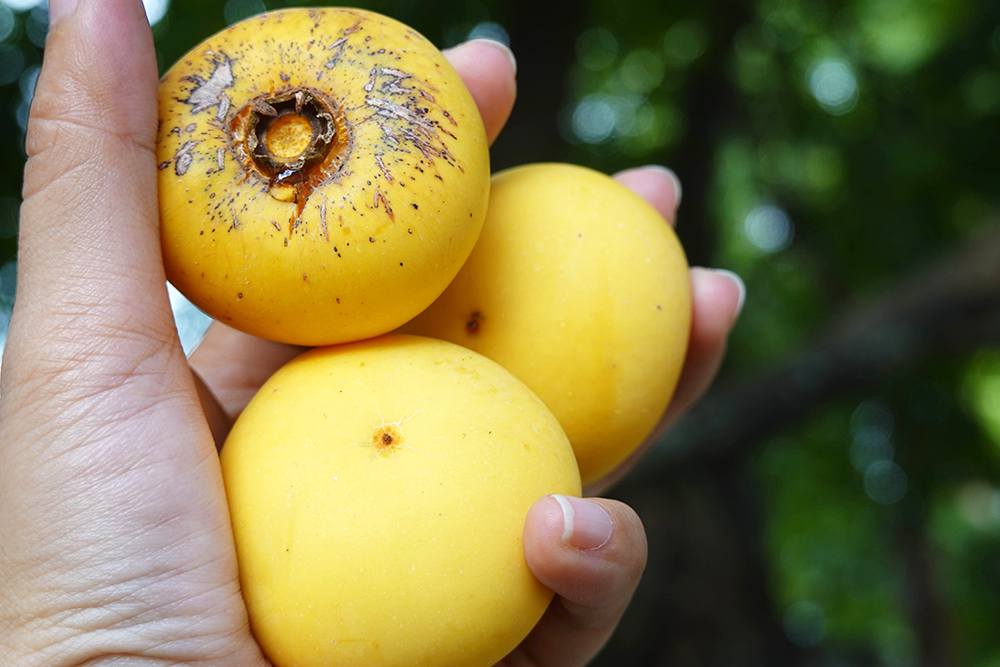 Không phải là loại quả hảo hạng, nhưng loại quả này lại có sức cuốn hút riêng biệt bởi mùi hương - Ảnh 8.