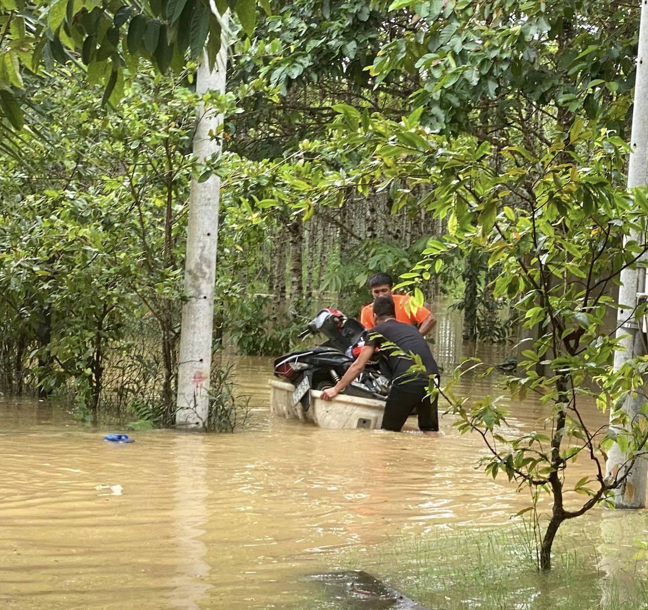 Mực nước sông Đồng Nai vượt mức báo động 3 gây thiệt hại gần 2.000 tấn cá - Ảnh 3.