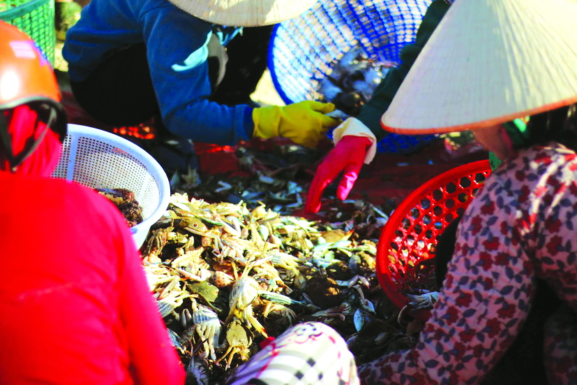 Lội sông ra biển gặp làng chài ở Bình Thuận, thấy bán hải sản tươi rói, trẻ con mê ăn chem chép xào tỏi - Ảnh 3.