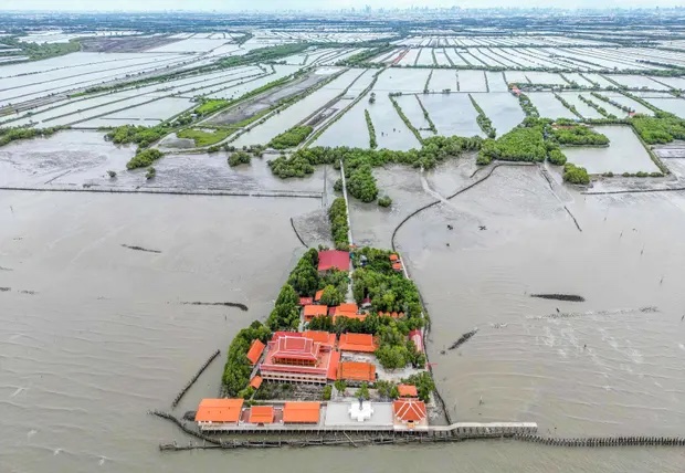 Ngôi làng ở Thái Lan bị nước biển nhấn chìm từng ngày - Ảnh 1.