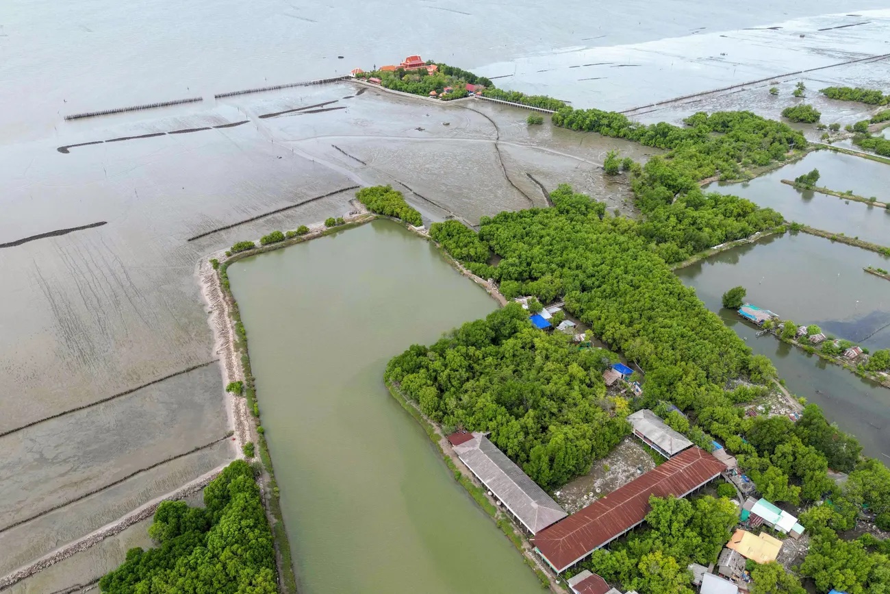 Ngôi làng ở Thái Lan bị nước biển nhấn chìm từng ngày - Ảnh 3.