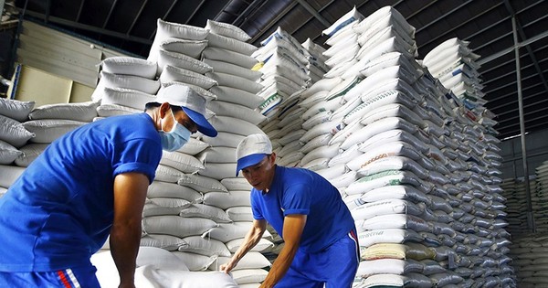 Vét sạch kho gạo không đủ xuất khẩu, dự báo lập kỷ lục 4 tỷ USD - Ảnh 1.