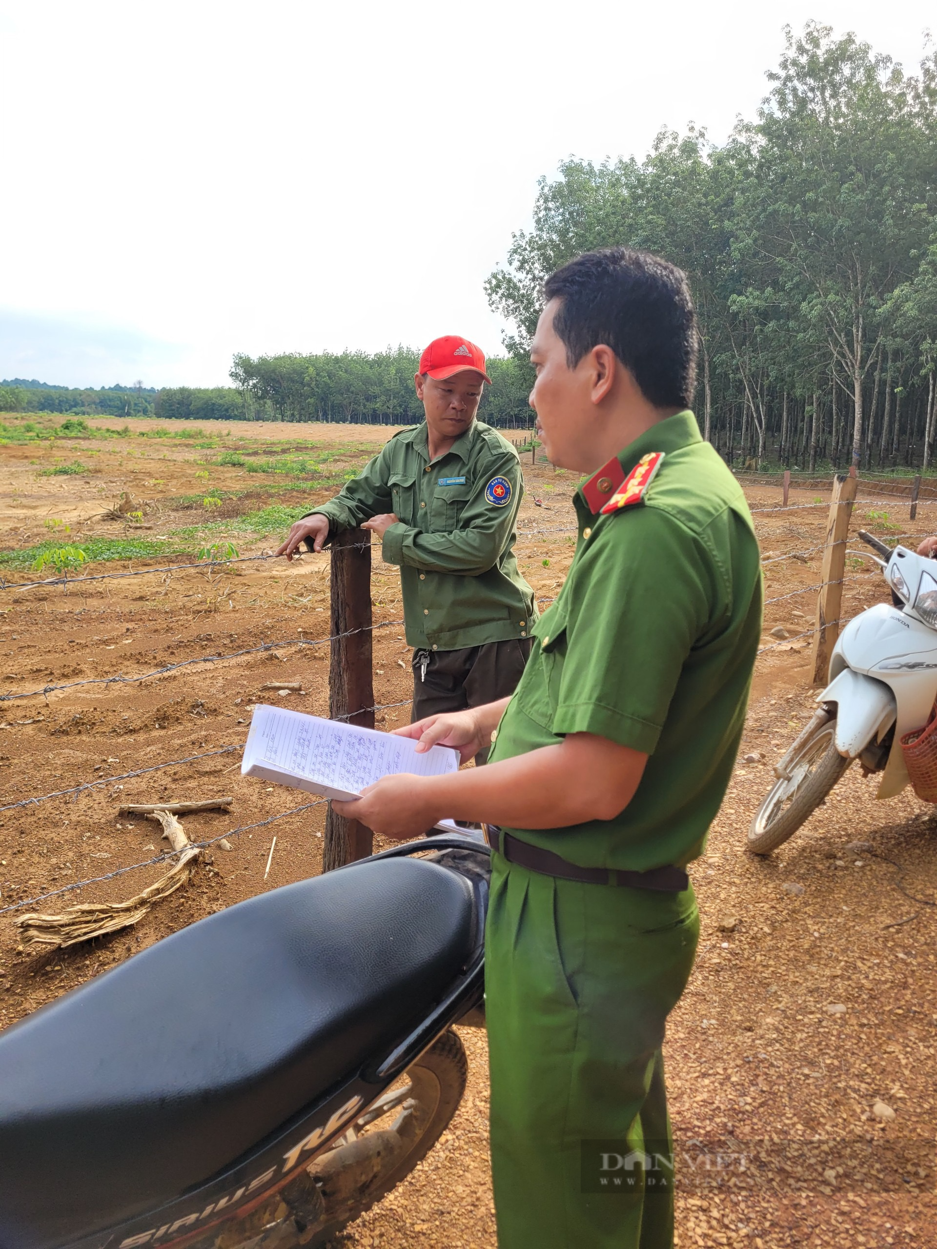 Bình Phước: Nông dân tố cáo phá rừng, vườn cao su bị kẻ gian hủy hoại 4 lần trong một tháng - Ảnh 2.
