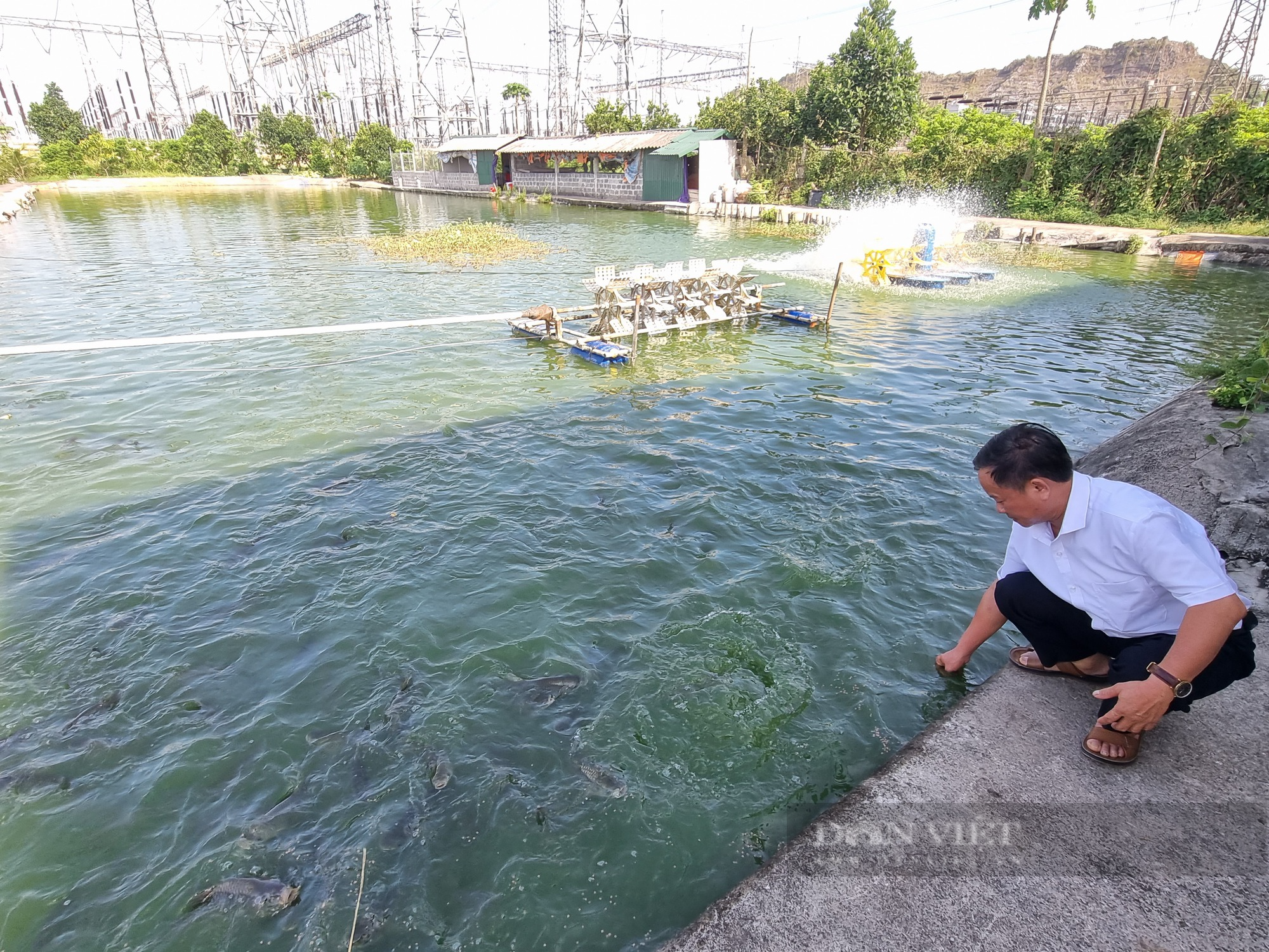 Ninh Bình: Một Chi hội trưởng nông dân nuôi cá lãi gần 100 triệu đồng - Ảnh 7.