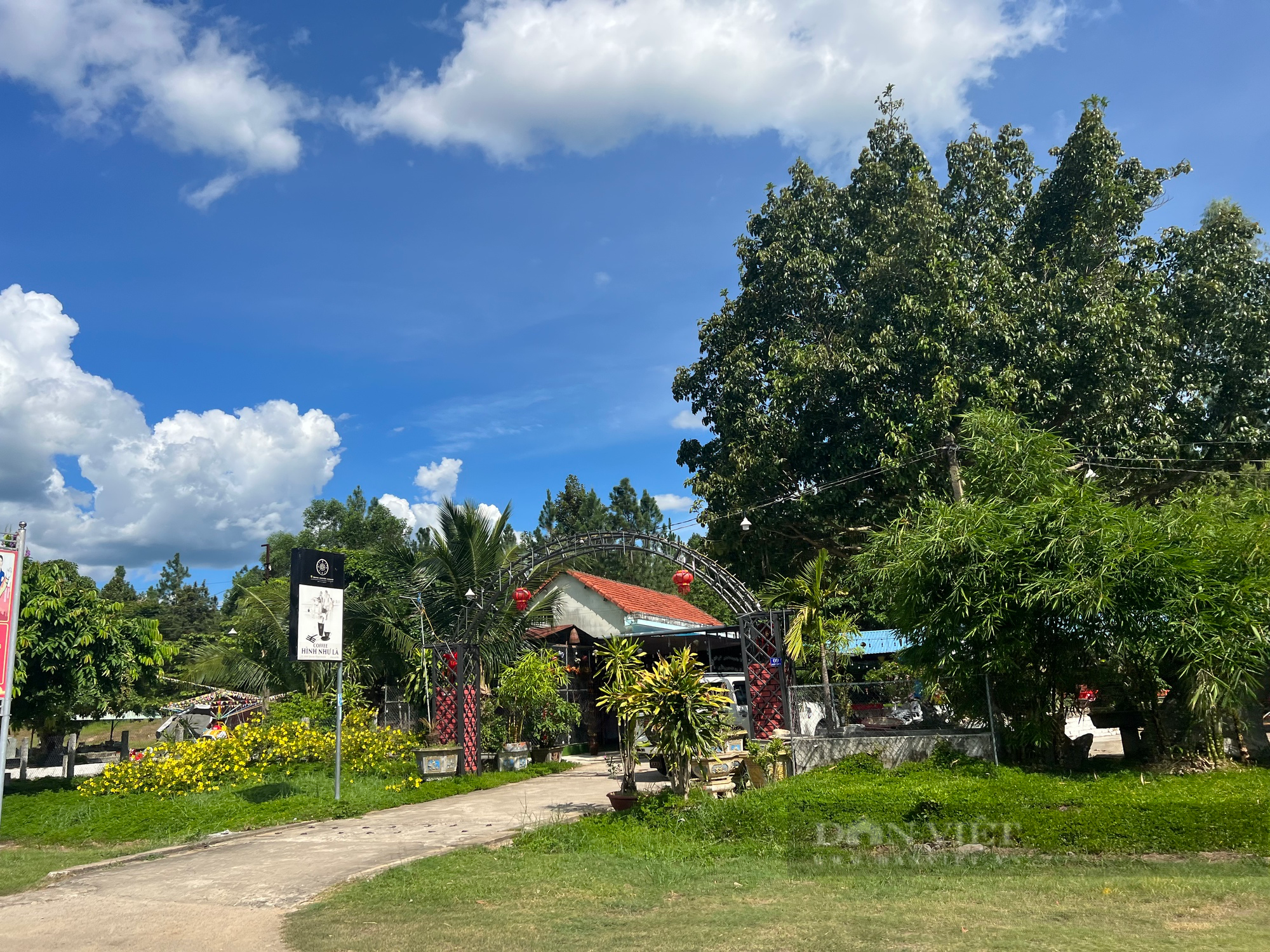 Thu hồi hơn 138ha đất rừng phòng hộ của gia đình cựu Bí thư Huyện uỷ tại Bình Định  - Ảnh 2.