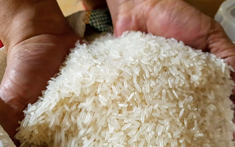 Thế giới thiếu 8,7 triệu tấn, xuất khẩu gạo Việt Nam tăng mạnh cả về lượng và giá
