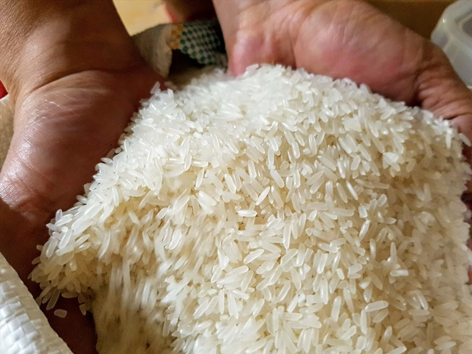 Thế giới thiếu 8,7 triệu tấn, xuất khẩu gạo Việt Nam tăng mạnh cả về lượng và giá - Ảnh 3.