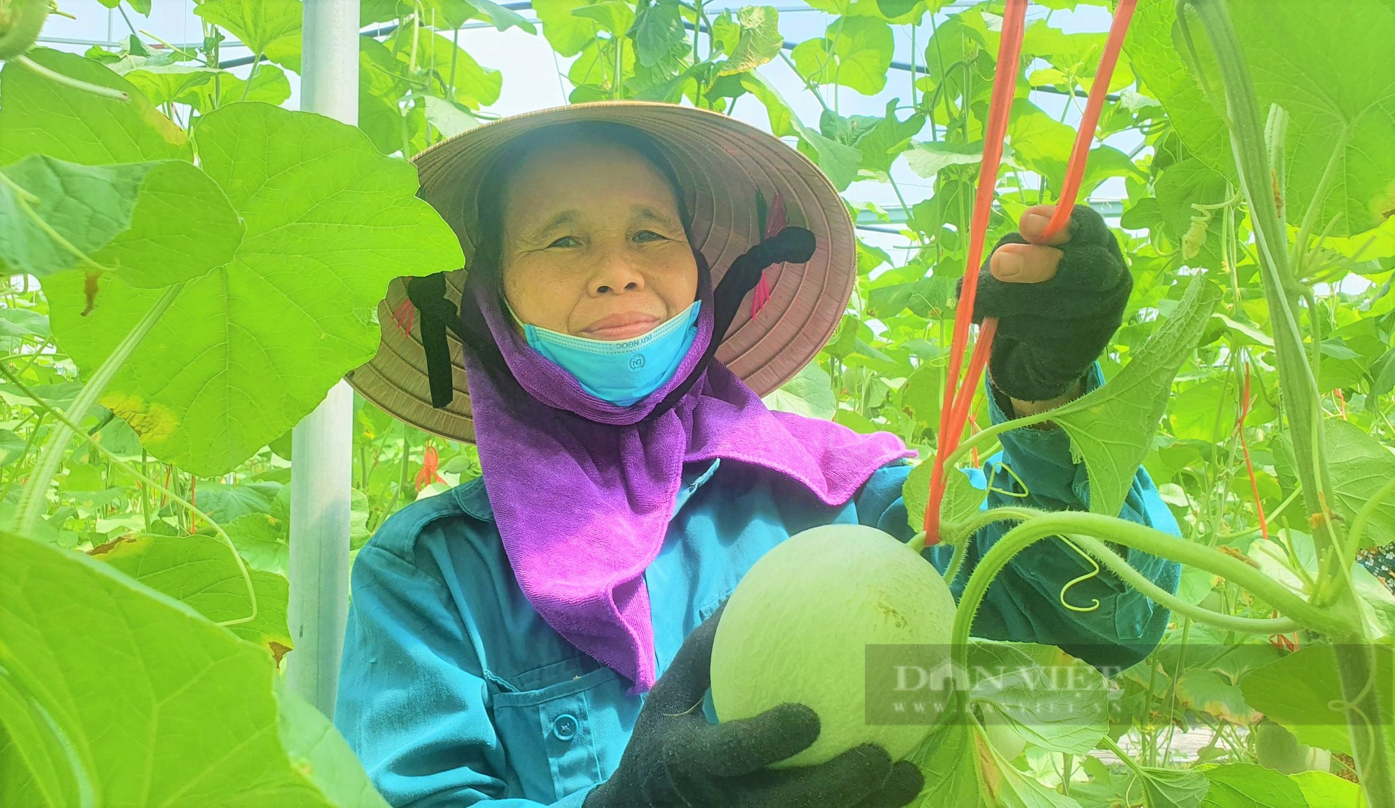 Hội thảo lấy ý kiến góp ý Đề án Hội Nông dân Việt Nam tham gia phát triển kinh tế tập thể trong nông nghiệp - Ảnh 4.