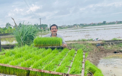 Trên cánh đồng của tỉnh Thái Bình vụ lúa, máy cấy đã rộn ràng, vèo cái cấy xong 4 - 5 mẫu ruộng  