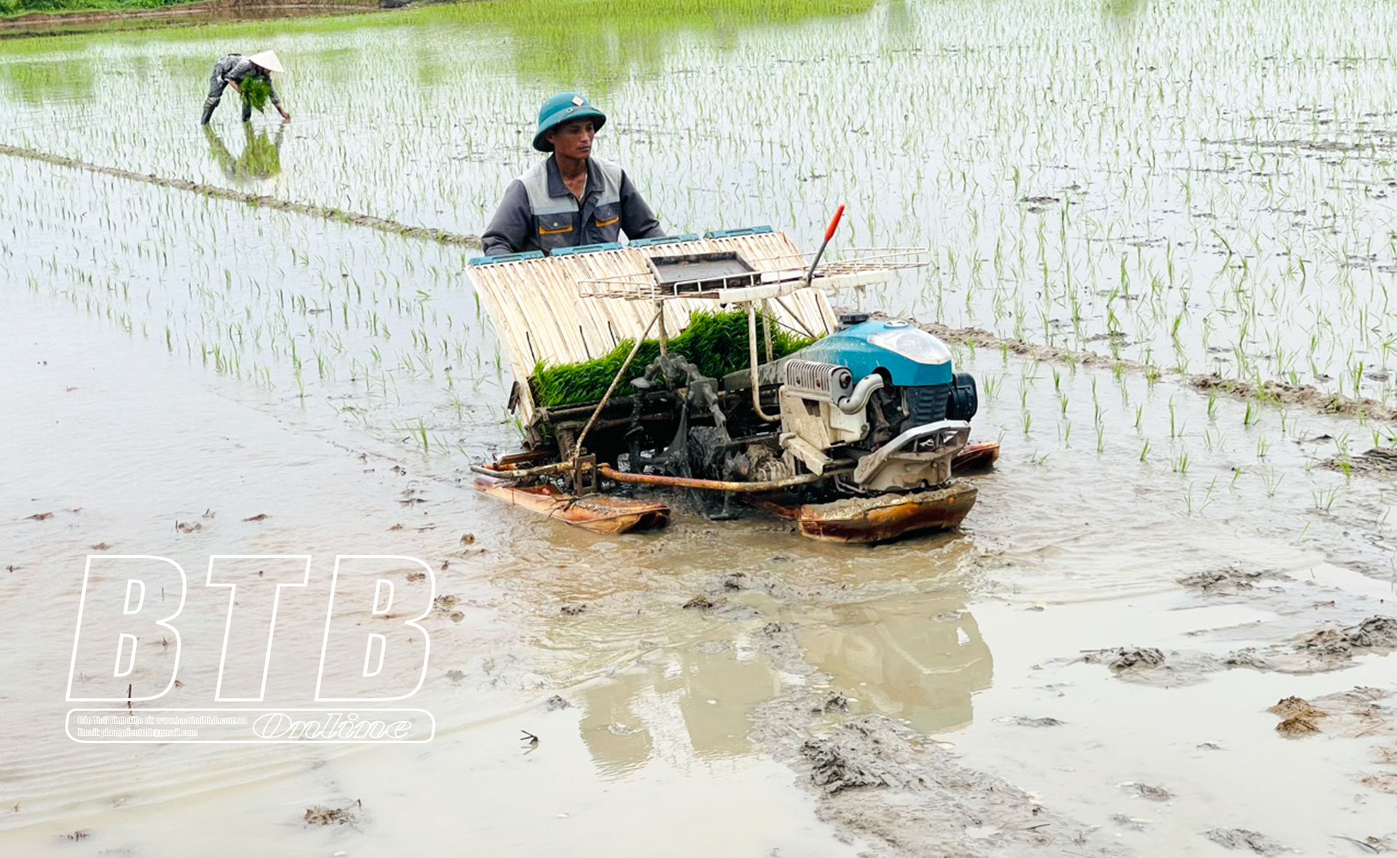 Trên cánh đồng của tỉnh Thái Bình vụ lúa, máy cấy đã rộn ràng, vèo cái cấy xong 4 - 5 mẫu ruộng   - Ảnh 2.