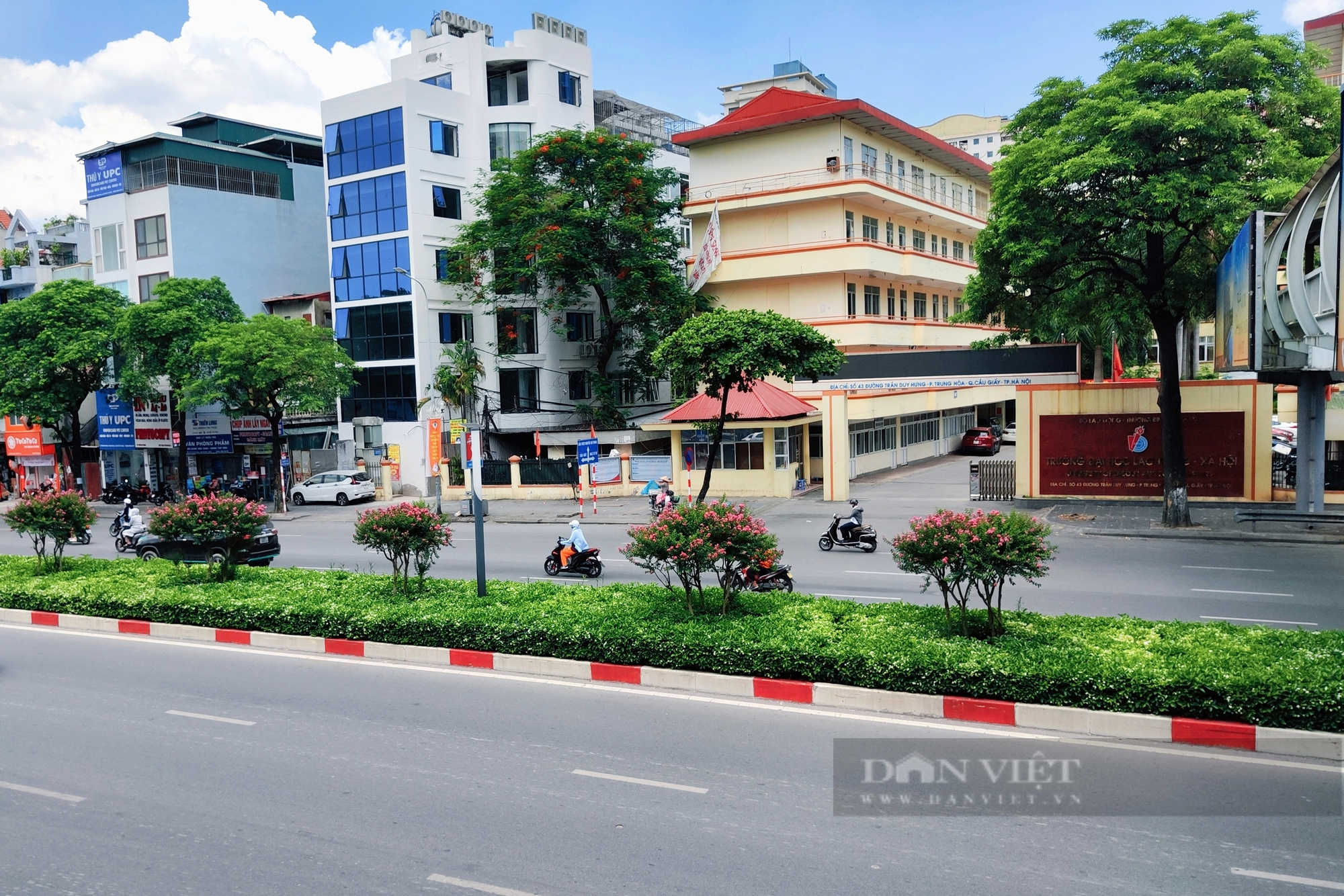 Hoa tường vi khoe sắc trên đường Nguyễn Chí Thanh sau khi phong lá đỏ bị nhổ bỏ  - Ảnh 2.