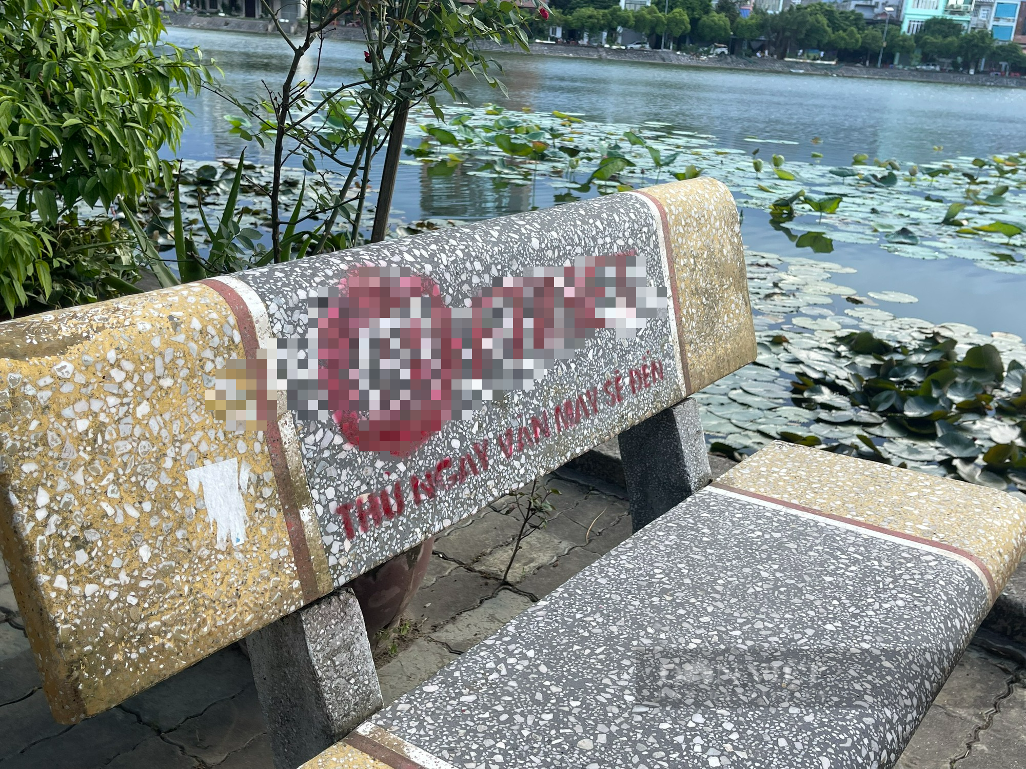 Cận cảnh loạt ghế đá tại Phủ Lý (Hà Nam) bị xịt sơn quảng cáo cá độ trái phép - Ảnh 2.