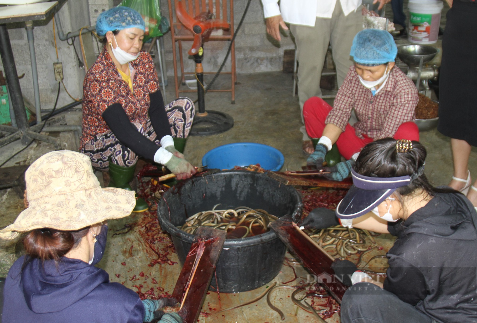 Giáo dân cả làng này ở Nghệ An hò nhau chế biến loại đặc sản ngon nức tiếng, nhà nào cũng khá giả - Ảnh 2.