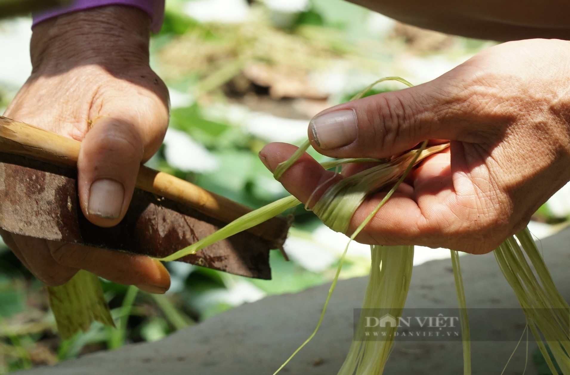 Xã này ở Nghệ An bà con người Thổ tuốt cây gai lấy sợi đan loại võng đặc biệt dùng hàng chục năm không hỏng - Ảnh 4.