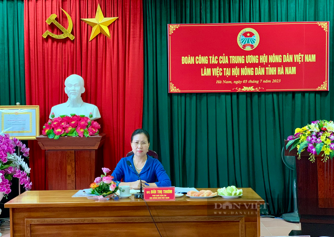 Đoàn công tác Trung ương Hội Nông dân Việt Nam làm việc với Hội Nông dân tỉnh Hà Nam - Ảnh 1.