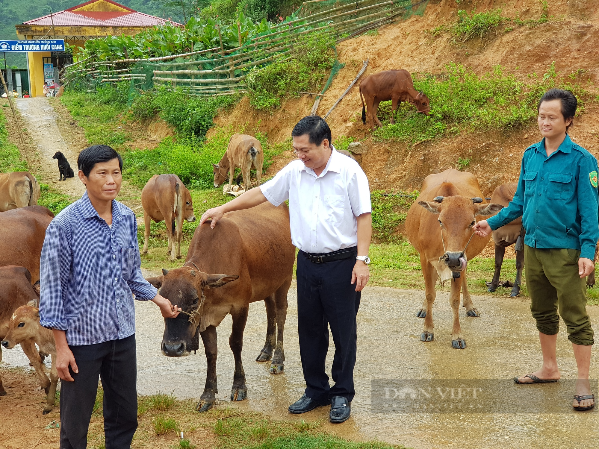 Chăn nuôi đại gia súc, giúp nông dân Mường Chà thoát nghèo - Ảnh 1.