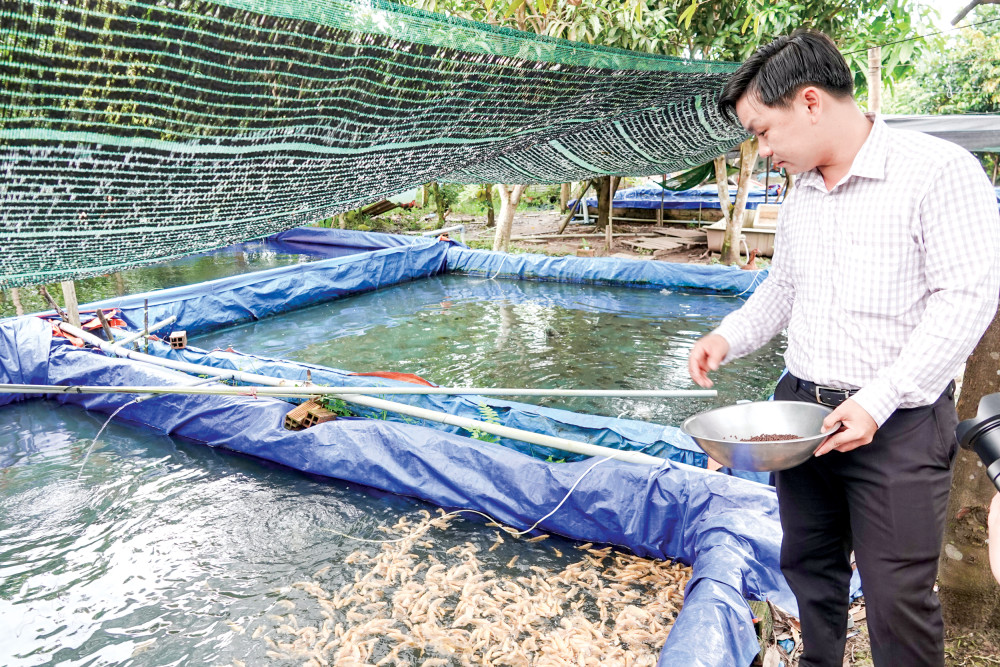 Hậu Giang: Nuôi đàn cá cảnh săn mồi, khách hàng đặt mua số lượng lớn, chàng trai 9X thu hơn nửa tỷ đồng - Ảnh 1.