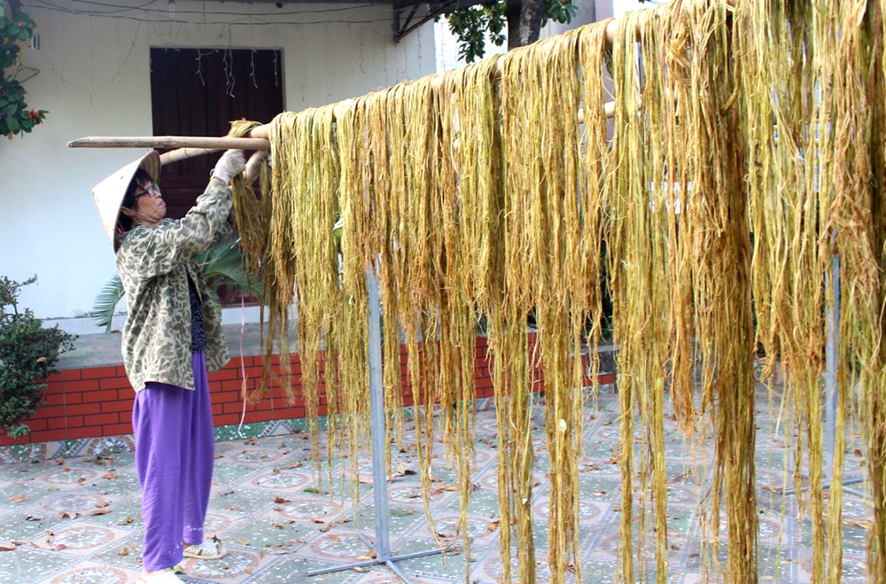 Cây gai xanh cho người nông dân những vụ thu liên tiếp, vụ nào cũng thắng lợi - Ảnh 4.