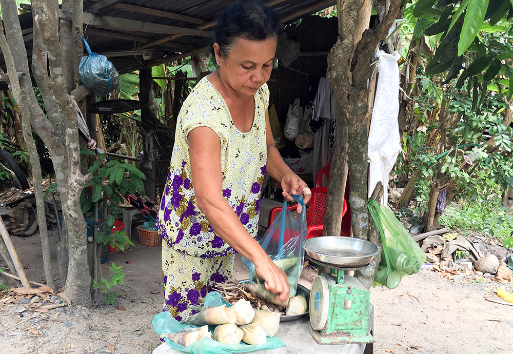 An Giang: Loại &quot;rau rừng&quot; ngon đặc biệt cứ hễ mưa xong là mọc lên như nấm càng ngày càng được &quot;săn lùng&quot; - Ảnh 11.